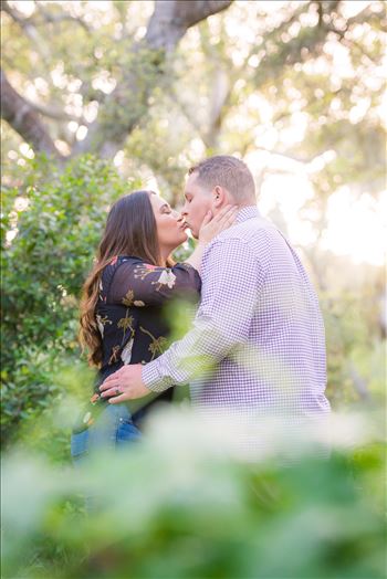 Los Osos Oaks Nature Reserve Engagement Photography Session by Mirror's Edge Photography with gorgeous light