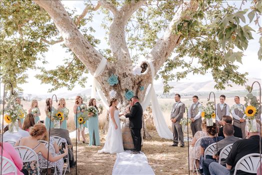 Mirror's Edge Photography, a San Luis Obispo Wedding Photographer, captures a wedding at the Historic Dana Adobe in Nipomo California.  Ceremony under the tree.