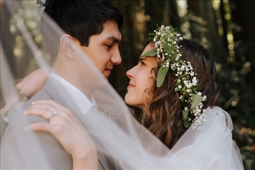 Mt Madonna wedding in the redwoods outside of Watsonville, California with a romantic and classic vibe by sarah williams of mirror's edge photography a san luis obispo wedding photographer.  Under the veil