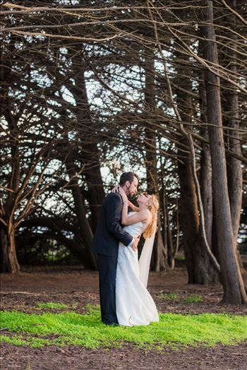 Ragged Point Inn Wedding Elopement photography by Mirror's Edge Photography in San Simeon Cambria California. Bride and groom in the trees