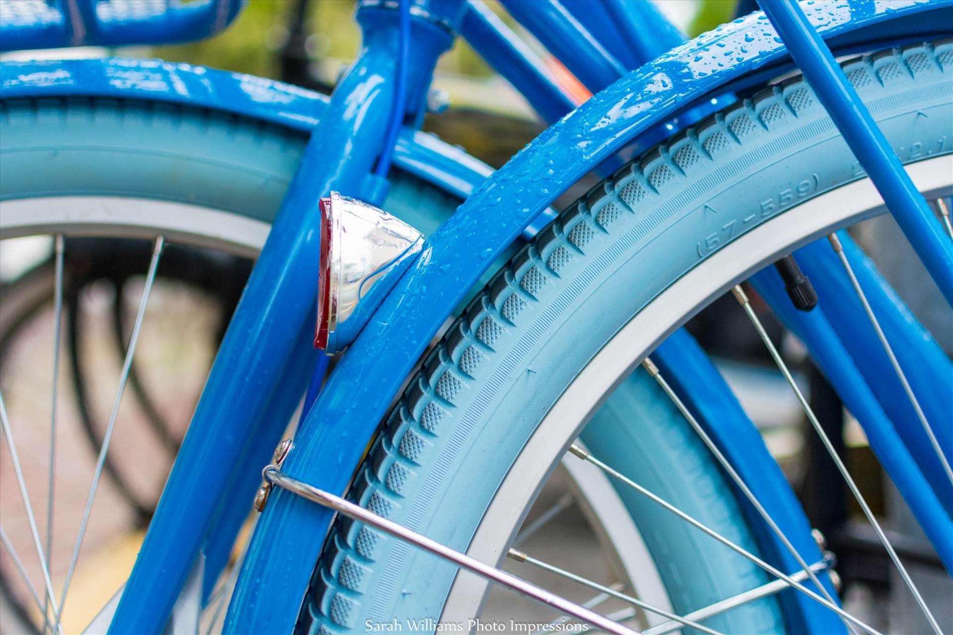 Rainy Blue Bike.jpg - undefined by Sarah Williams