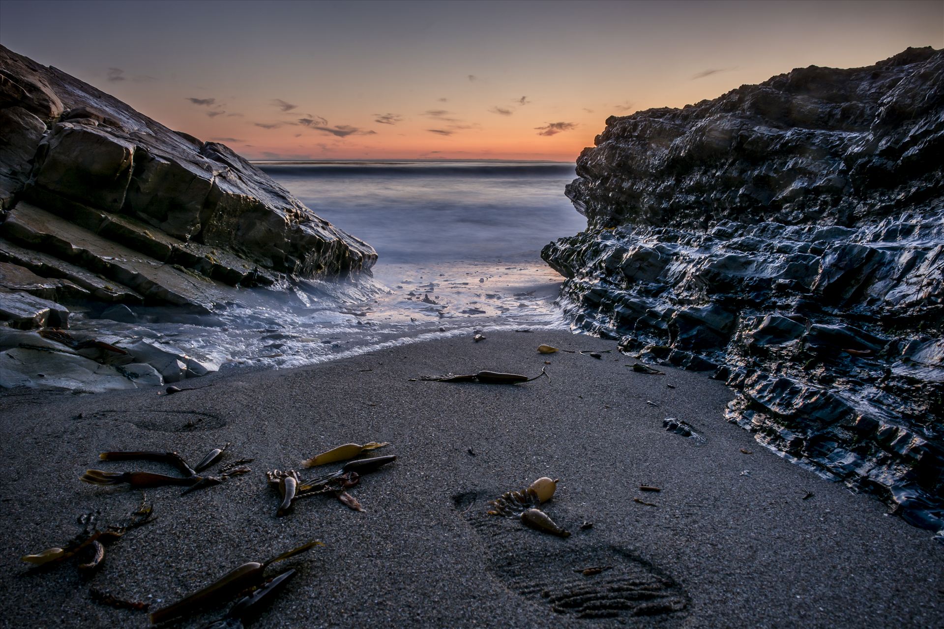 Wet Sand Footprints.jpg -  by Sarah Williams