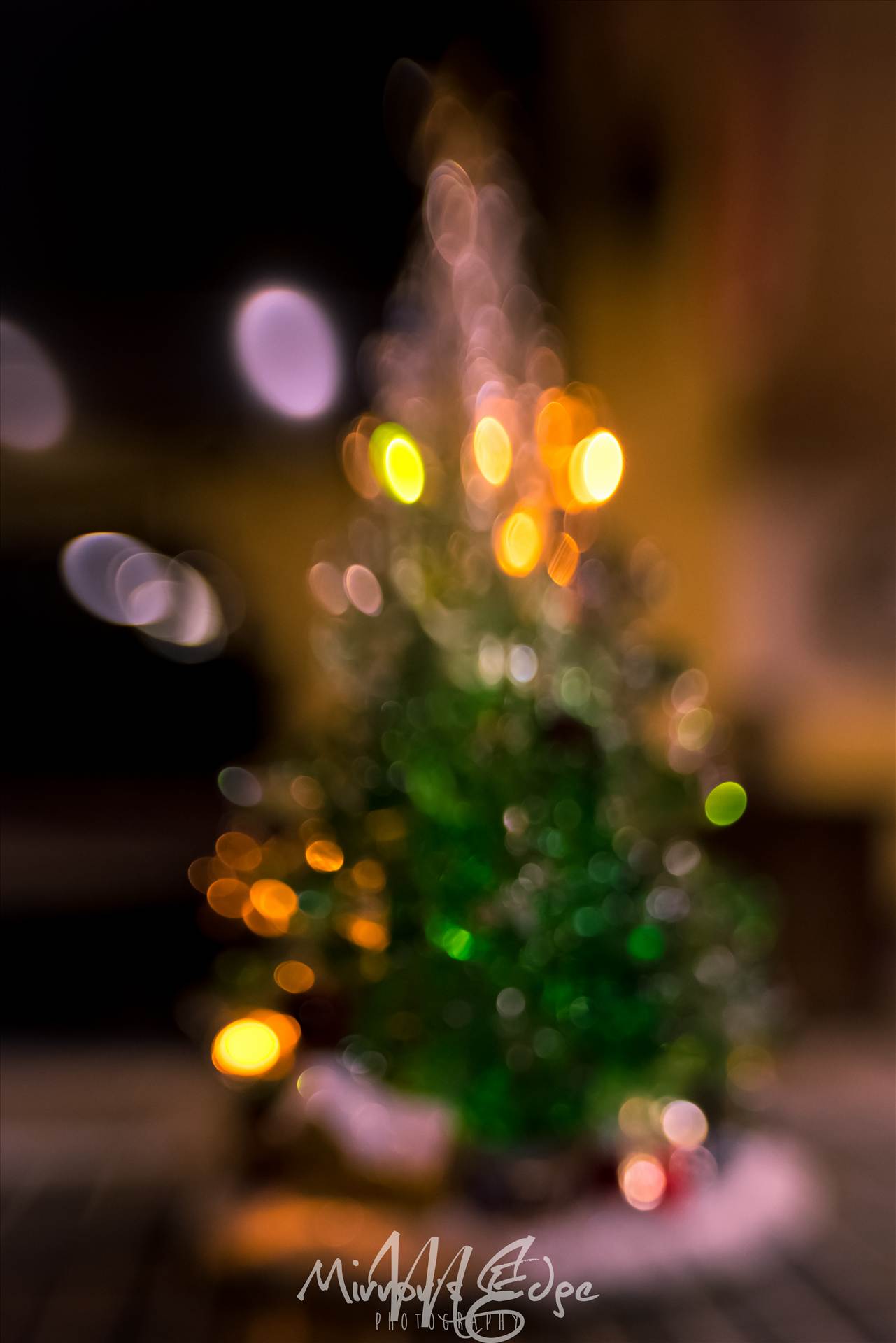 Bokeh Christmas Tree.jpg - undefined by Sarah Williams