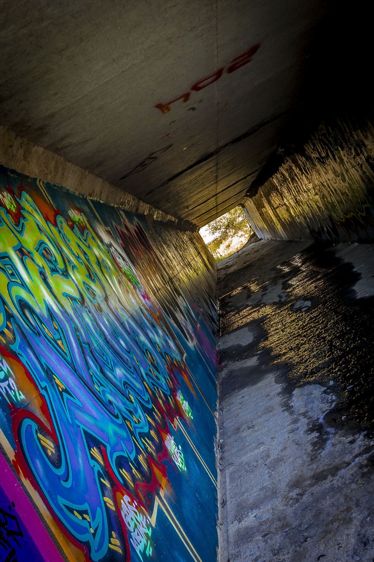 Tilted Tunnel.jpg -  by Sarah Williams