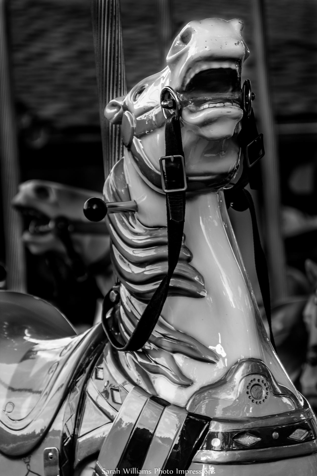 Carousel Horse BW.jpg -  by Sarah Williams
