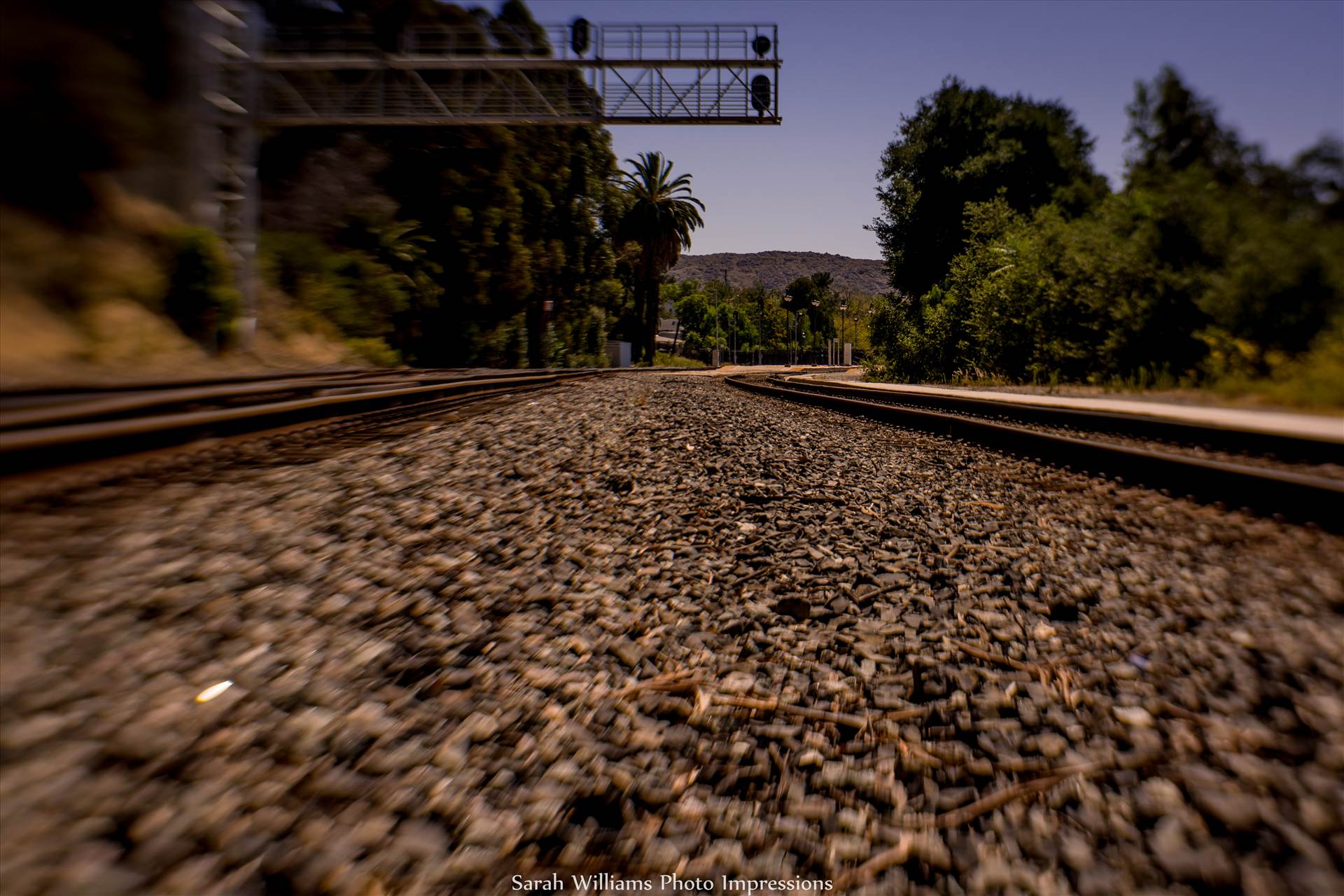 Between the Tracks.jpg - undefined by Sarah Williams