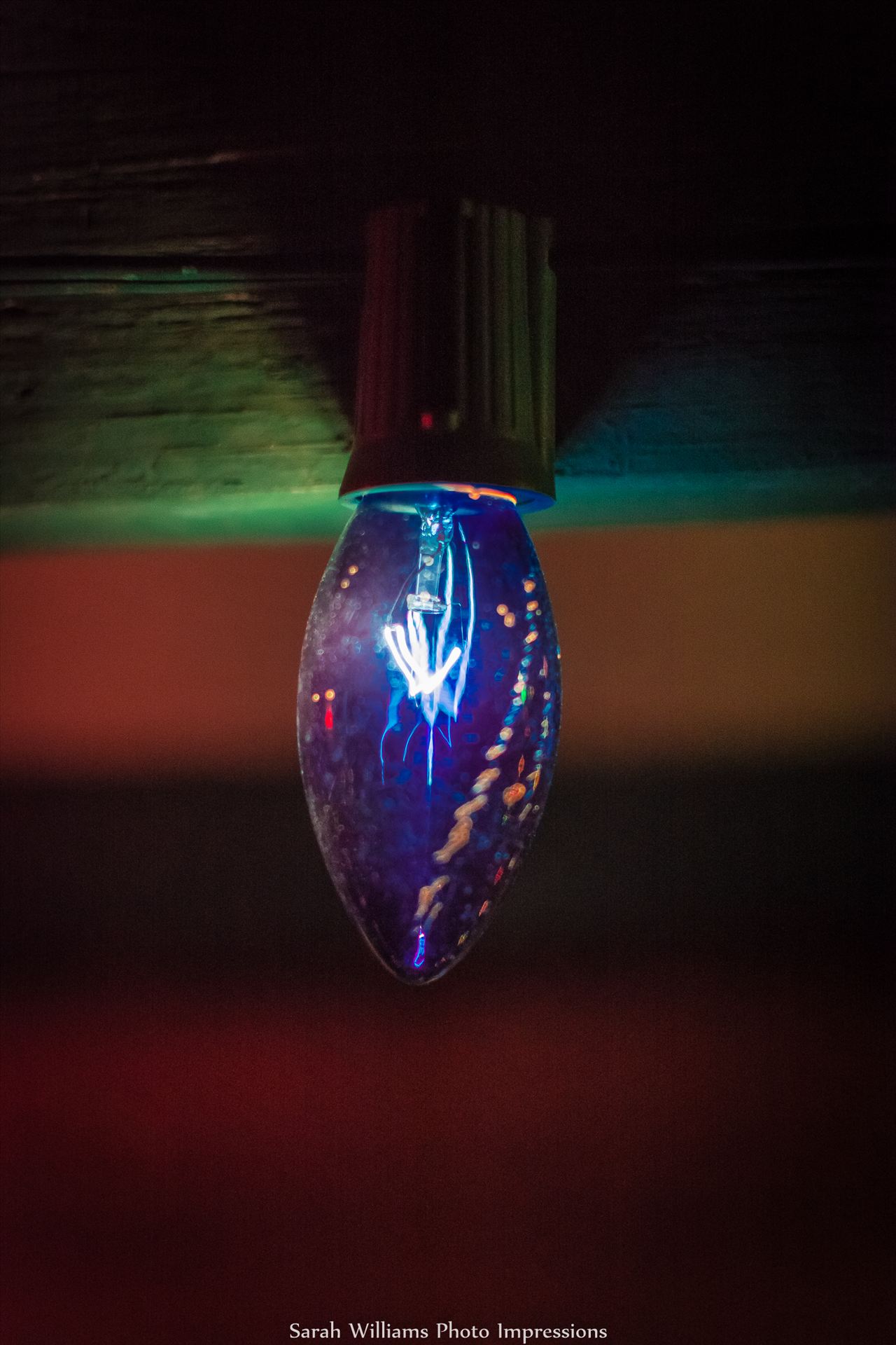 Blue Christmas Light_.jpg -  by Sarah Williams