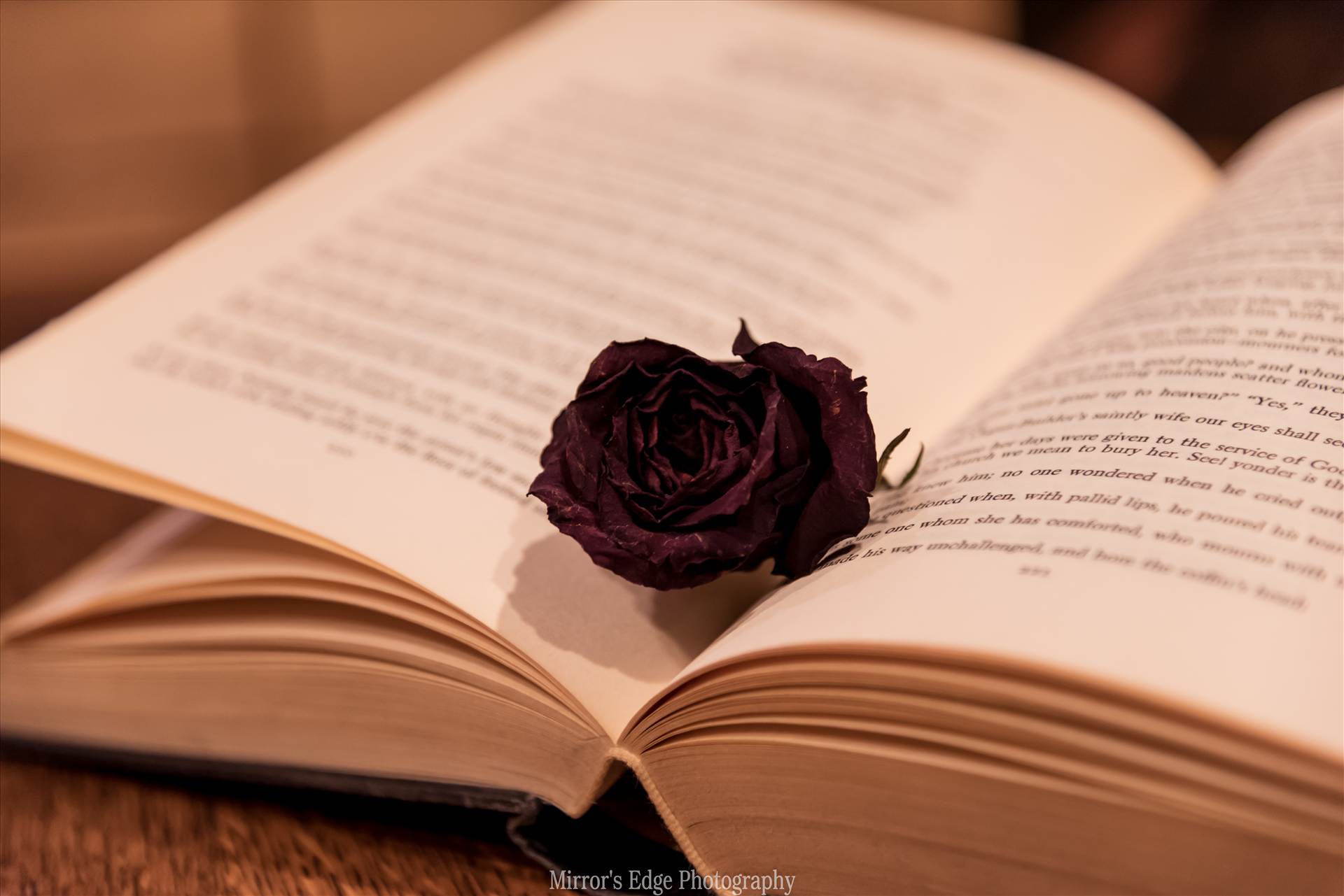 Black Rose in a Book.jpg - undefined by Sarah Williams