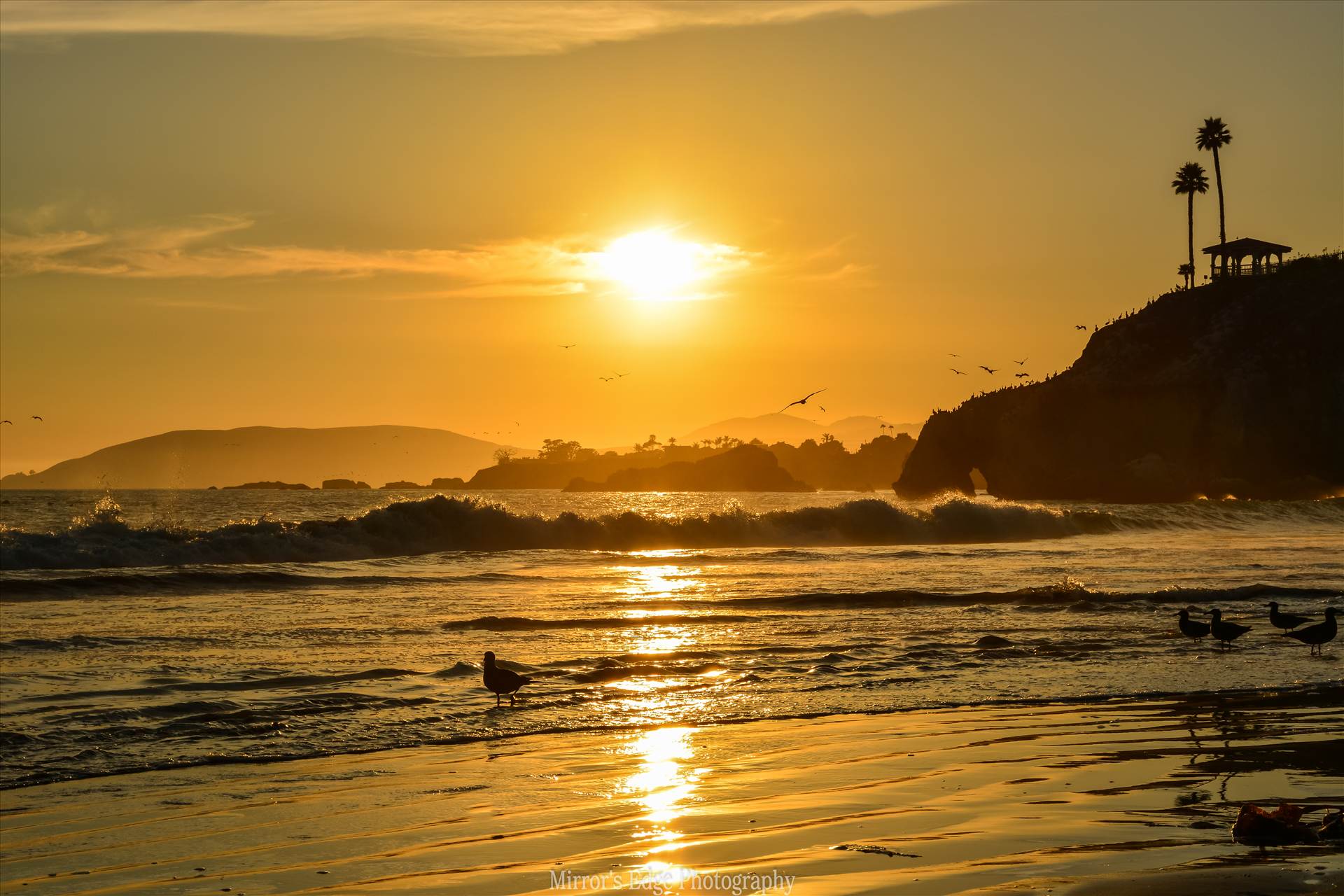 Pismo Beach Golden Sunset.jpg - undefined by Sarah Williams