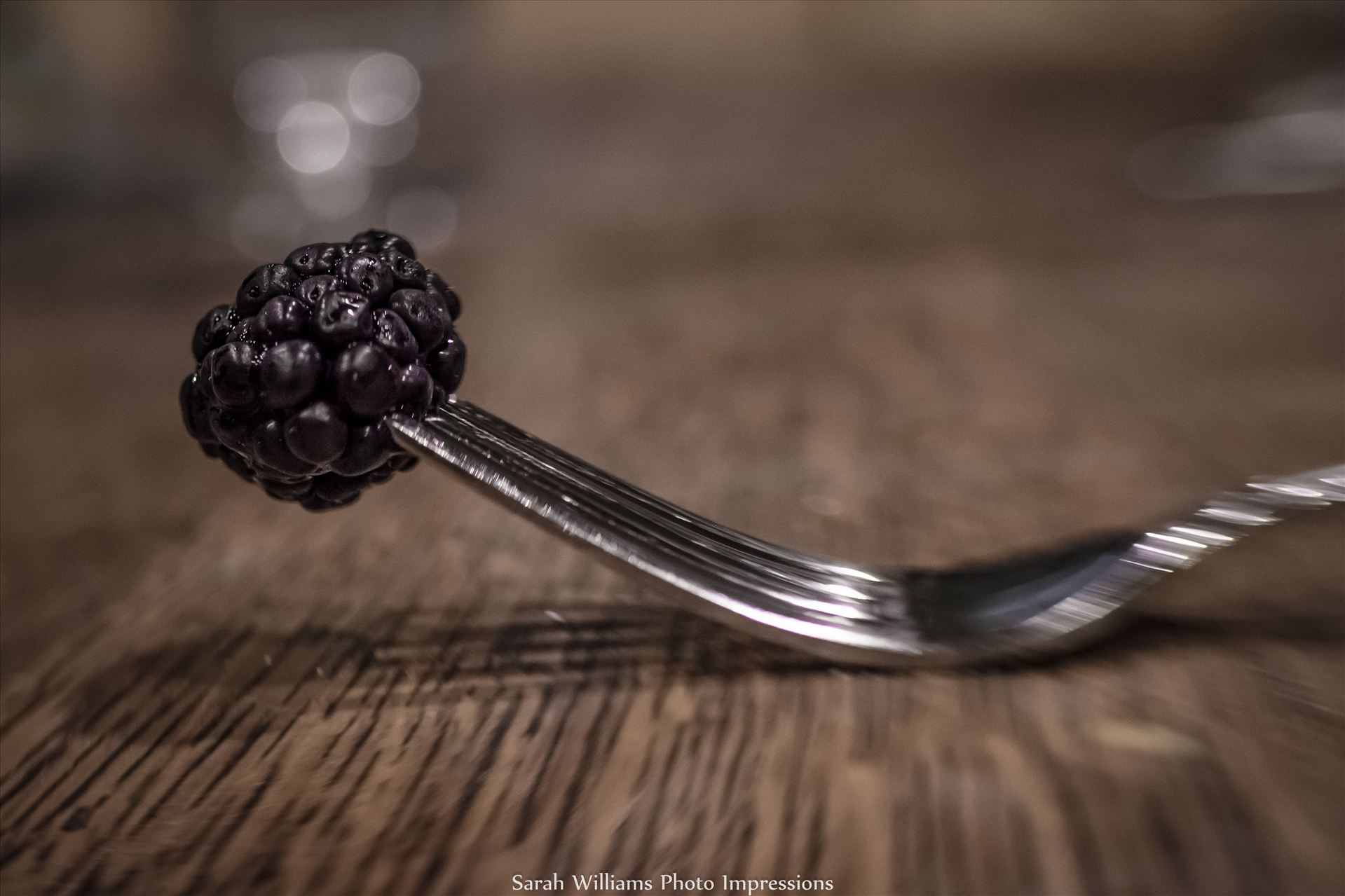 Black Berry on Fork.jpg -  by Sarah Williams