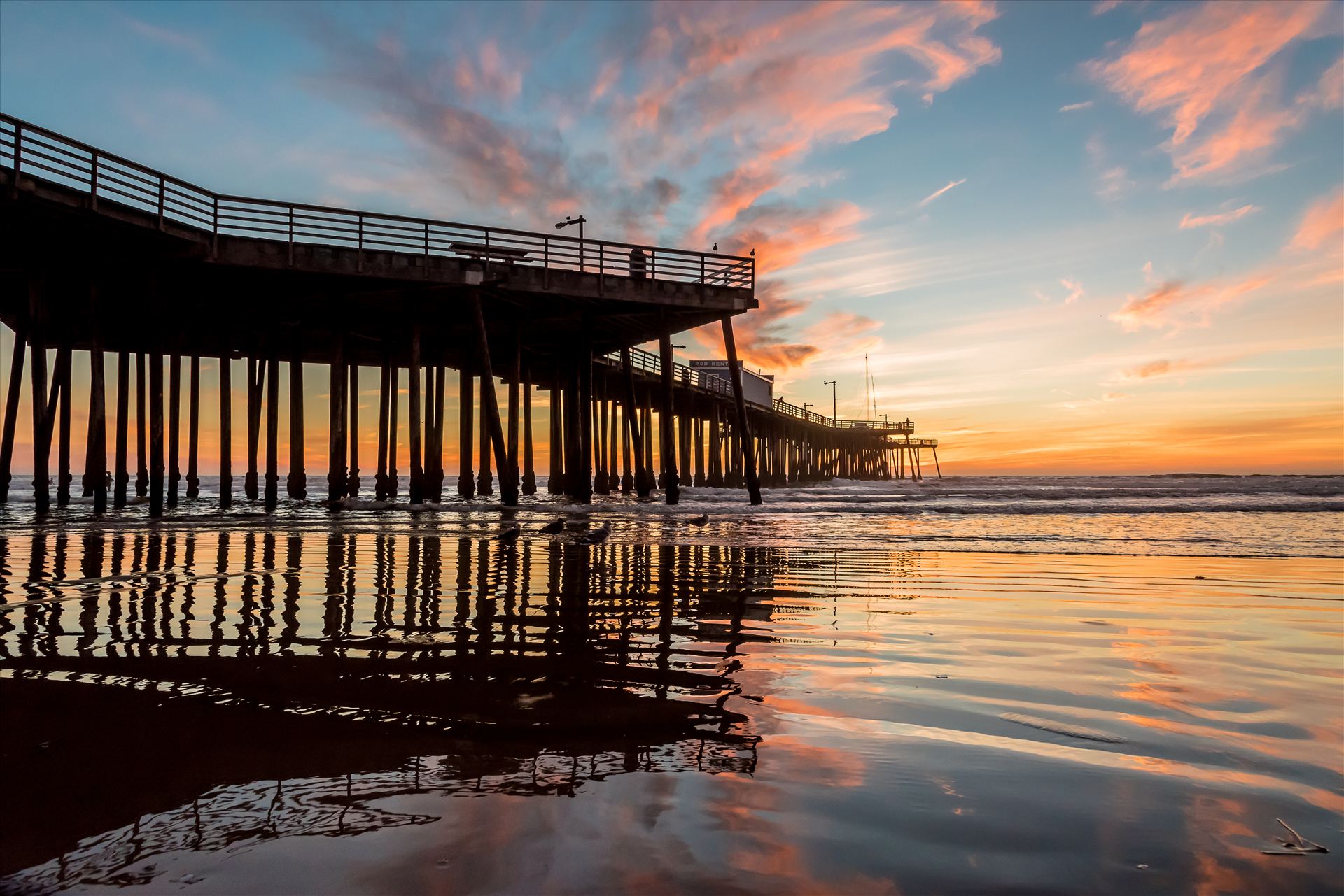 Fairytale Sunset Pismo Pier Reflection.jpg -  by Sarah Williams