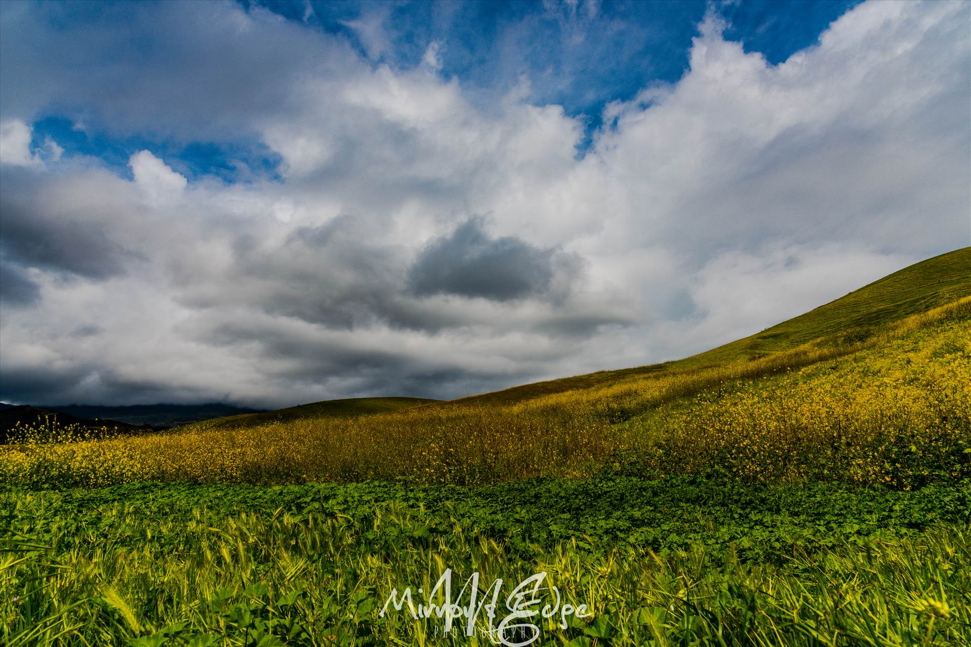 Stormy Skies Rolling Hills (1 of 1).jpg - undefined by Sarah Williams