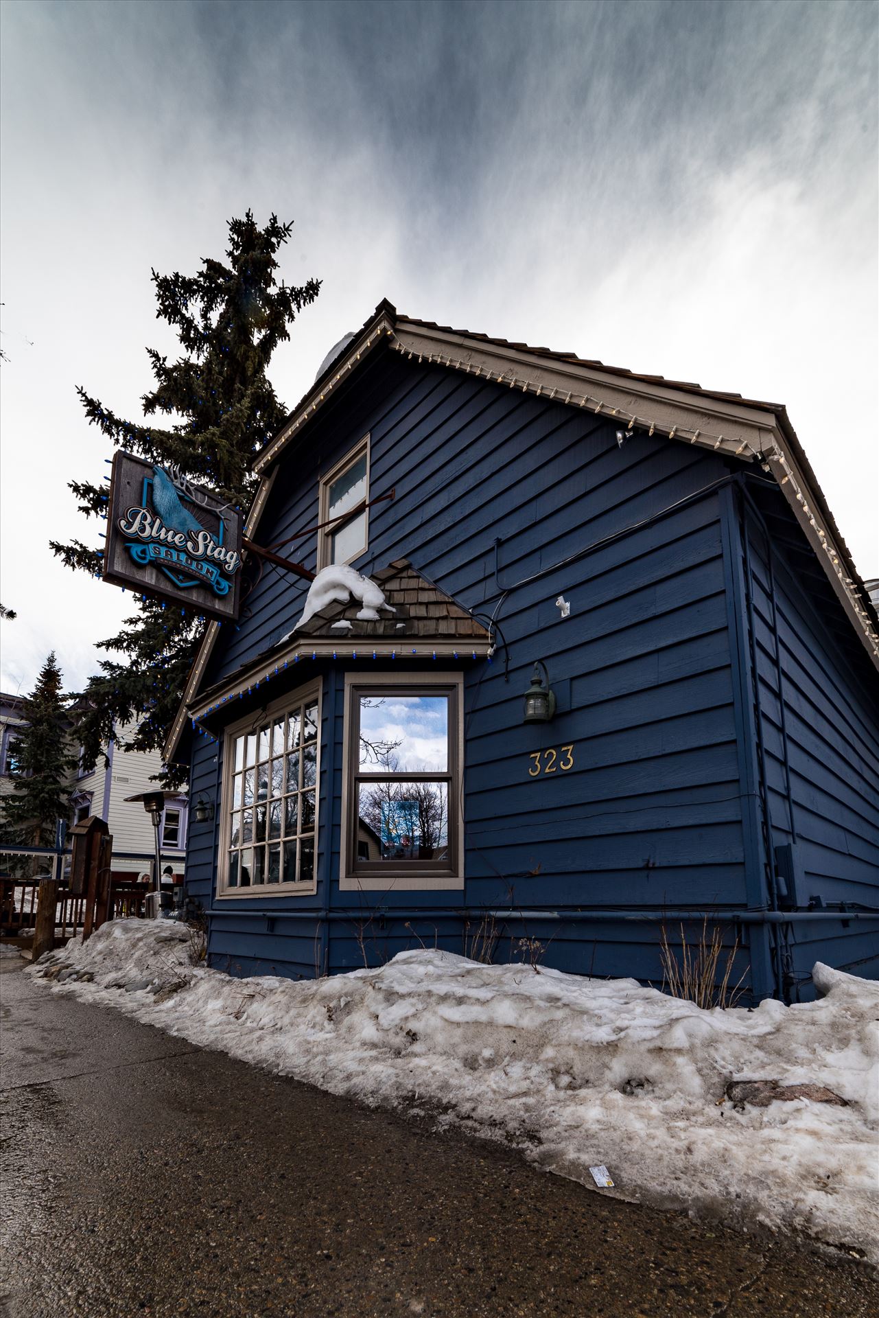 The Blue Stag Breckenridge -  by Sarah Williams