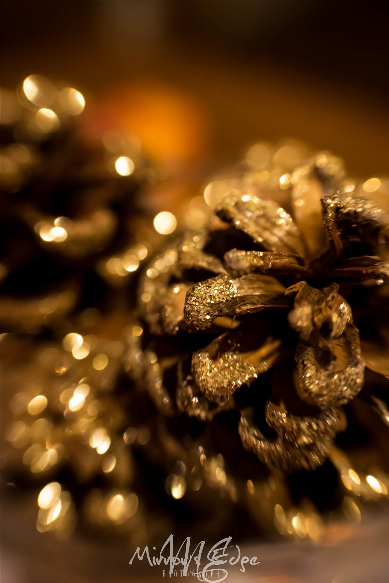 Holiday Glittered Pincone.jpg - undefined by Sarah Williams