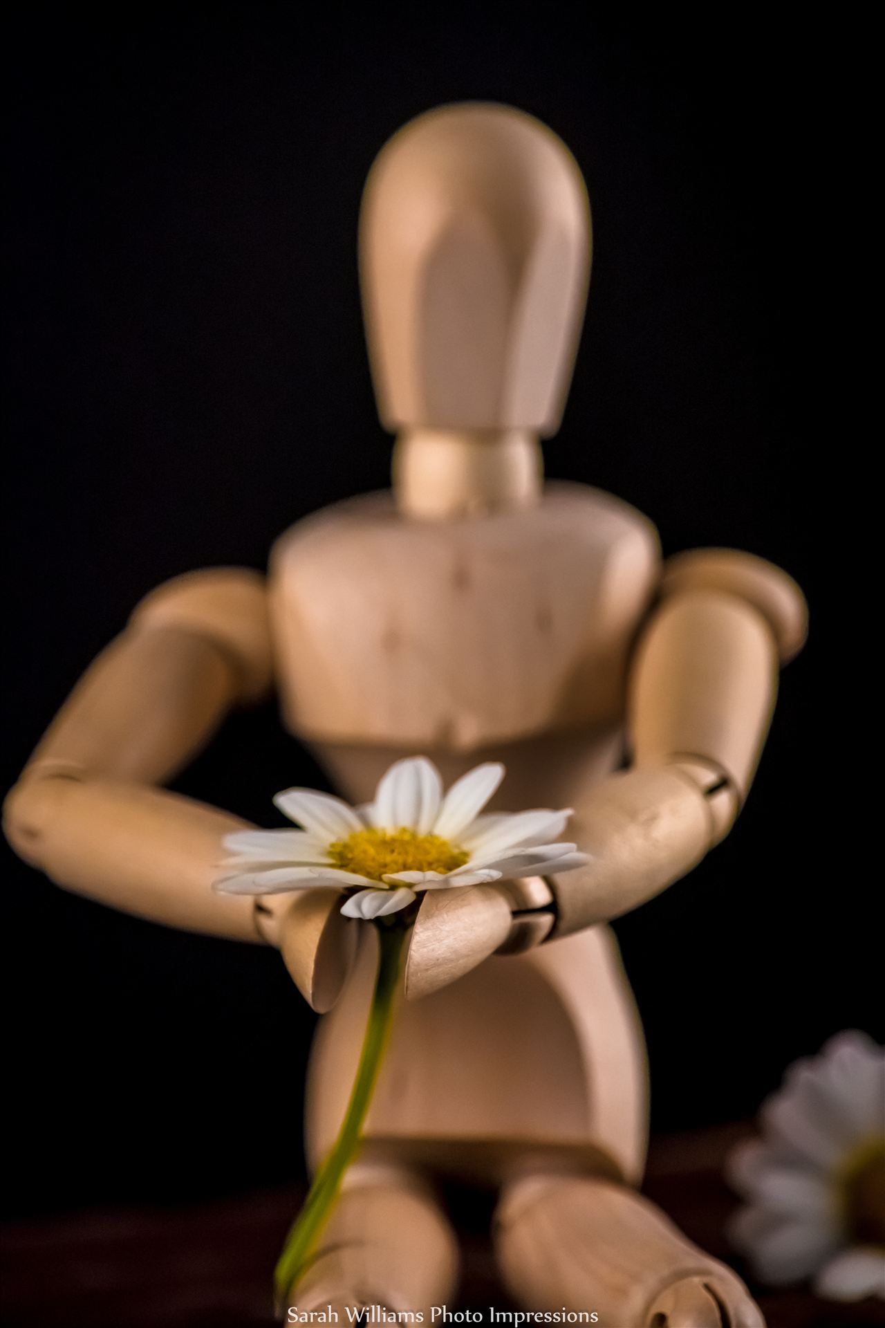 Flower Man.jpg -  by Sarah Williams
