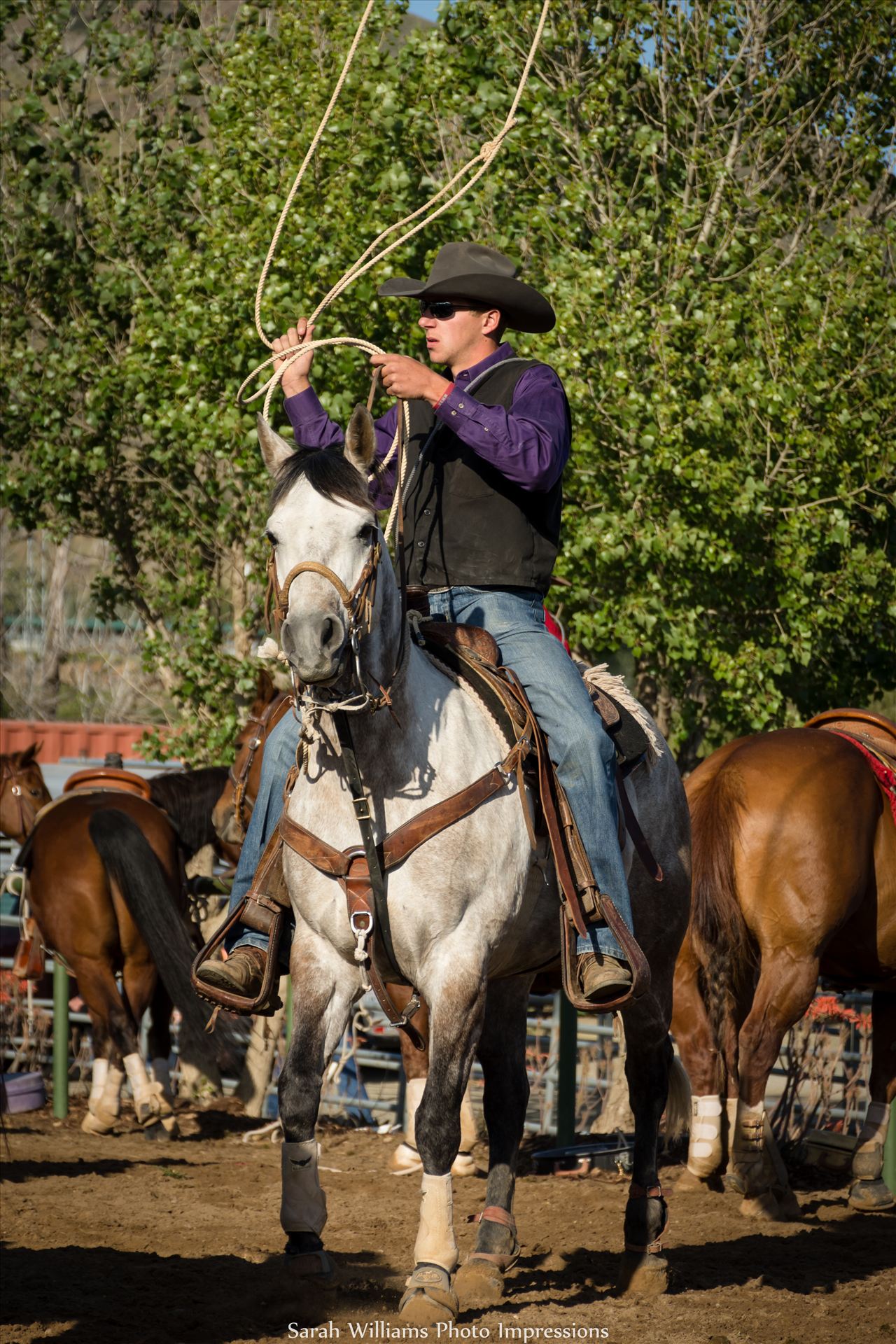 Ready for Roping.jpg -  by Sarah Williams