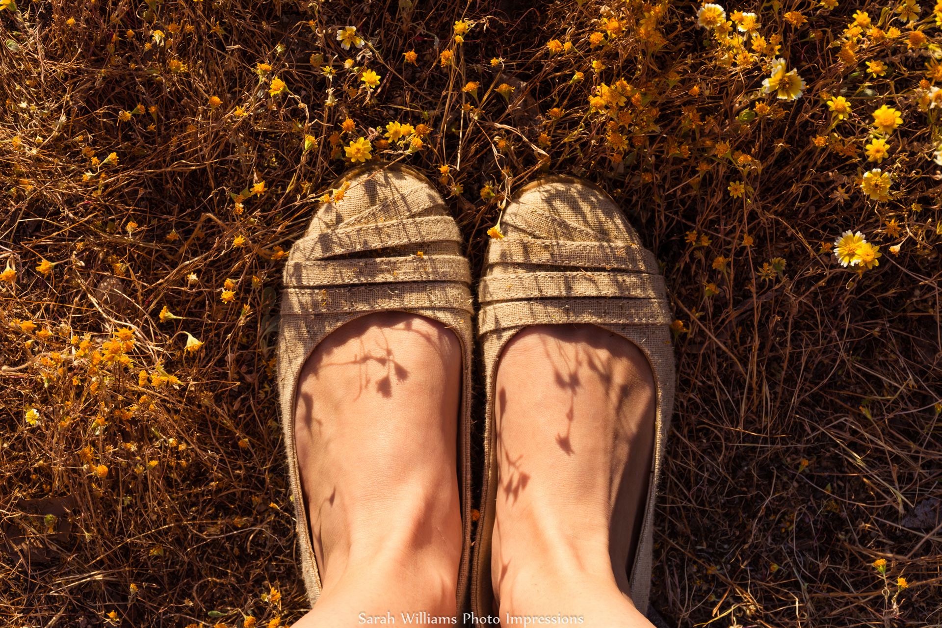 Wildflower Feet.jpg -  by Sarah Williams