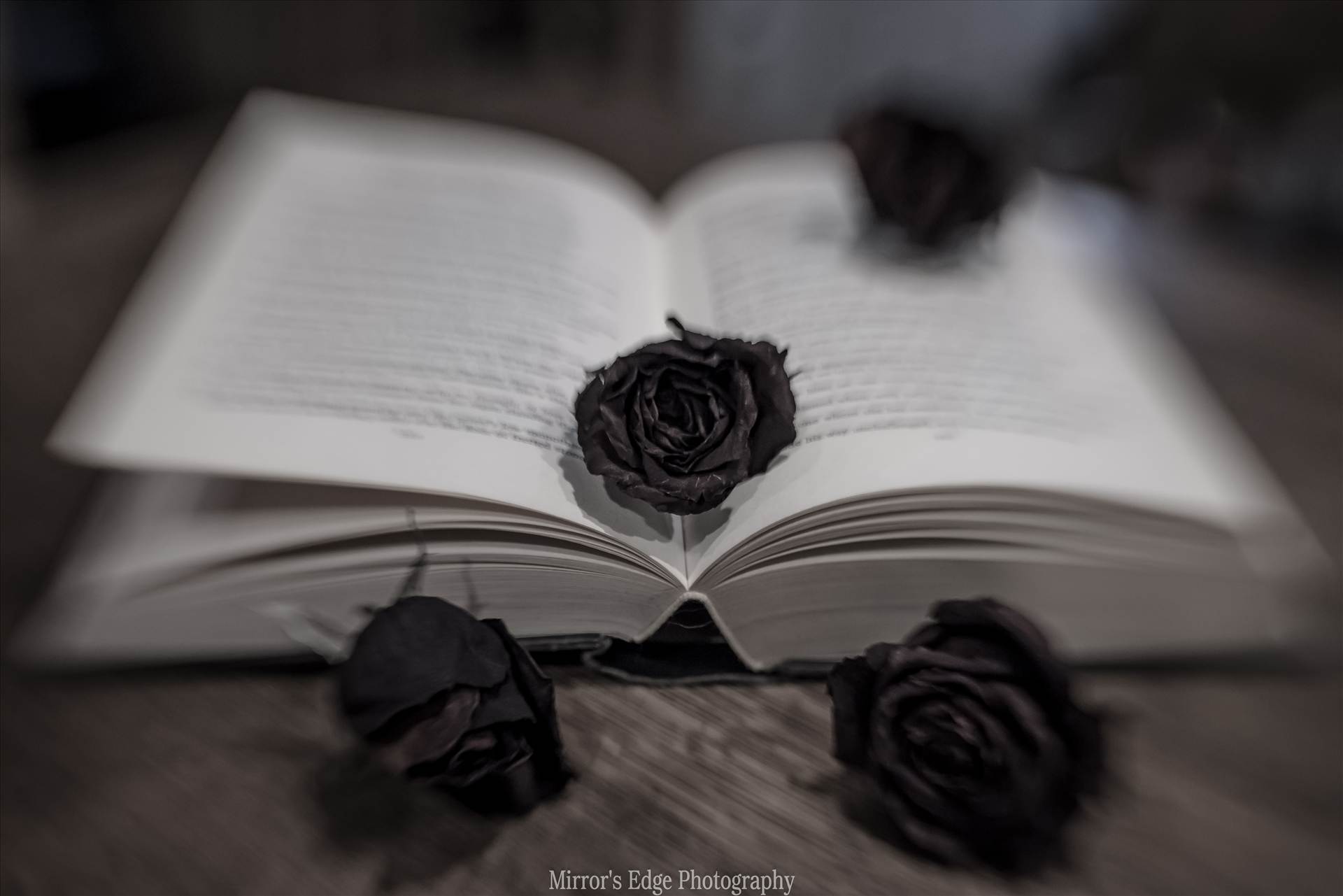 Black Roses.jpg - undefined by Sarah Williams