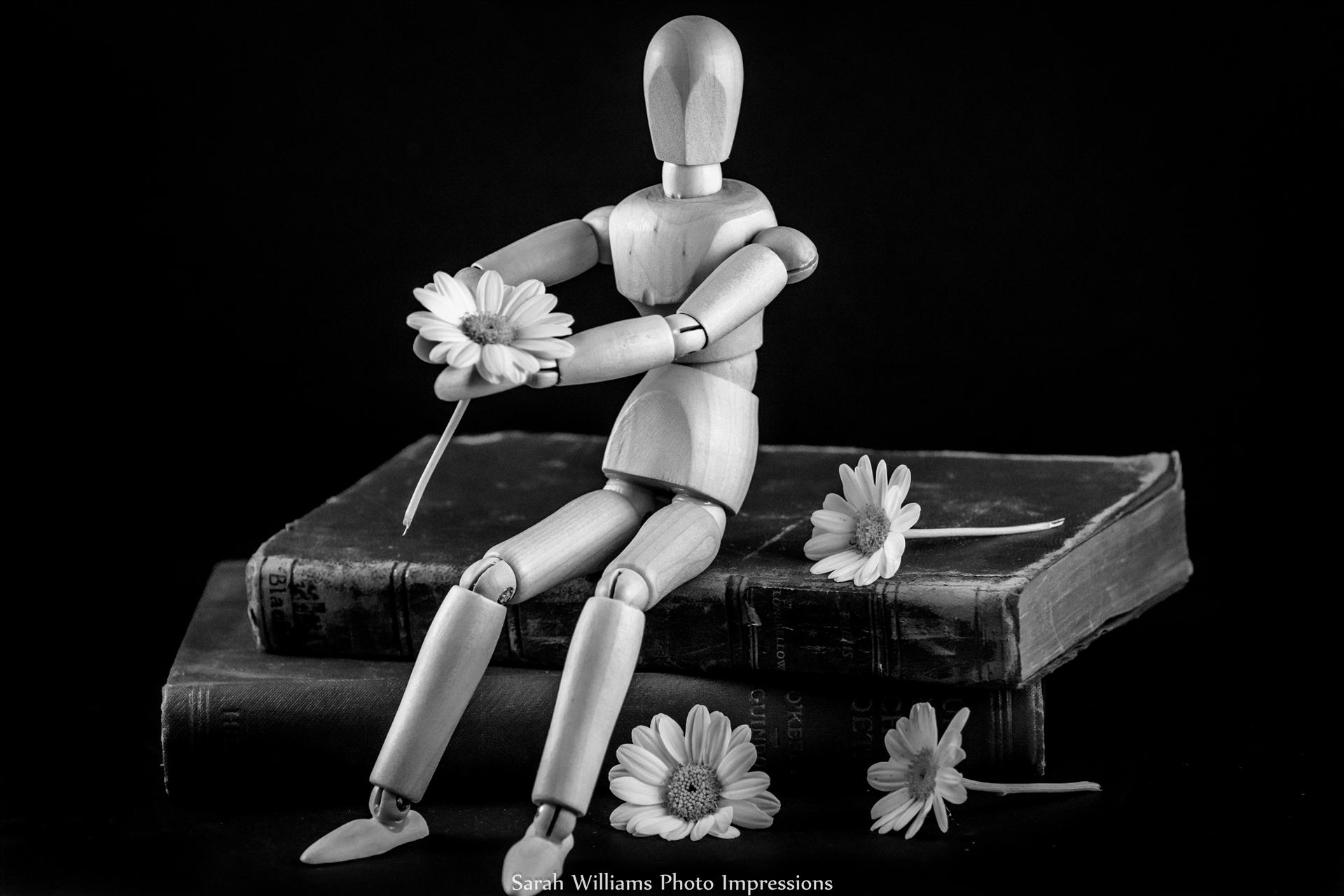 Flower Man BW2.jpg -  by Sarah Williams