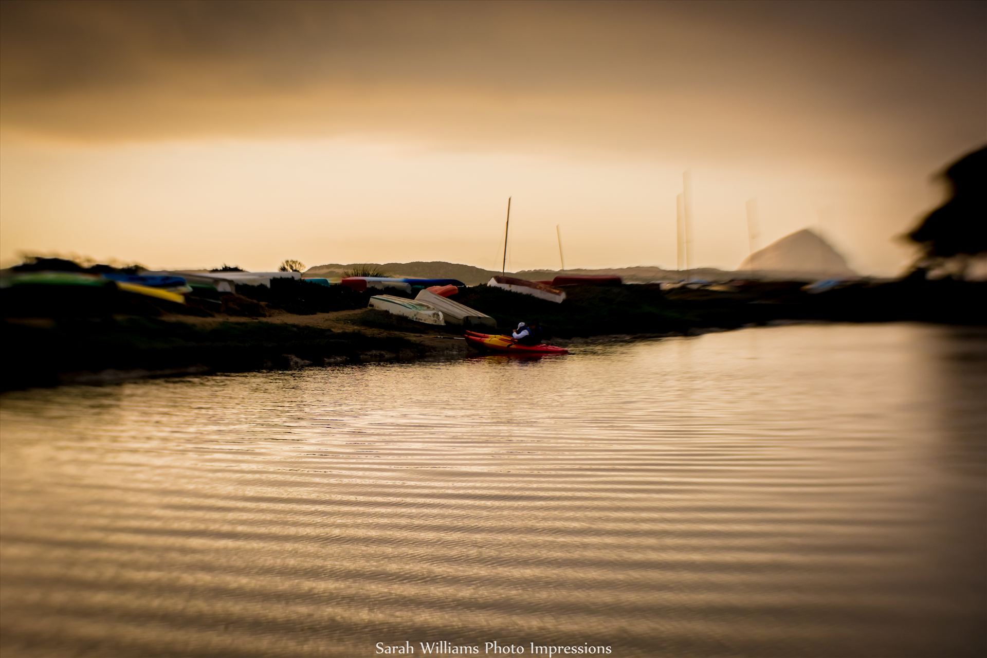 Back Bay Morro Rock Kayaks.jpg -  by Sarah Williams