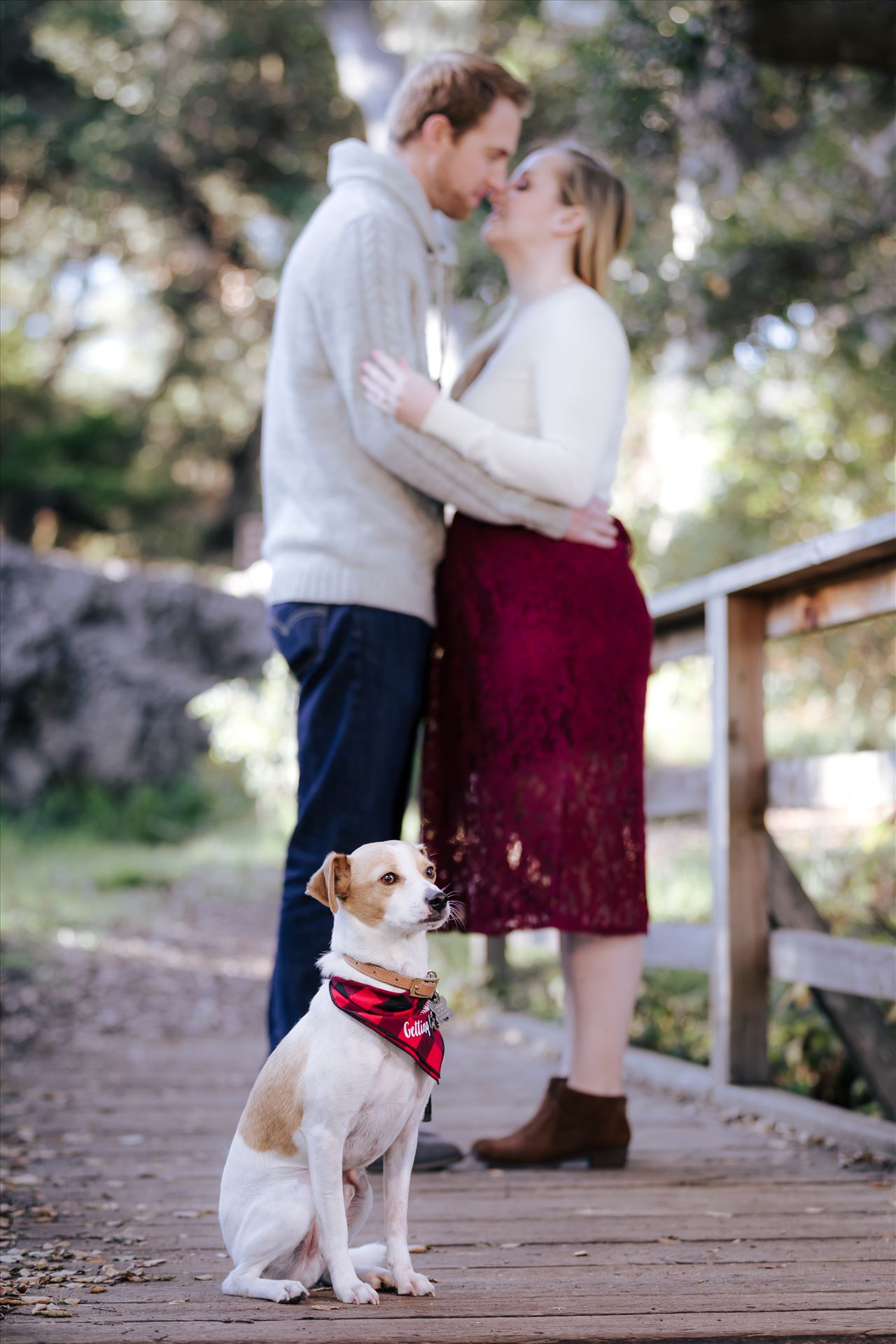_Y9A8465.JPG - Mirror's Edge Photography captures CiCi and Rocky's Sunrise Engagement in Los Osos California at Los Osos Oaks Reserve. Fur baby engagement session by Sarah Williams