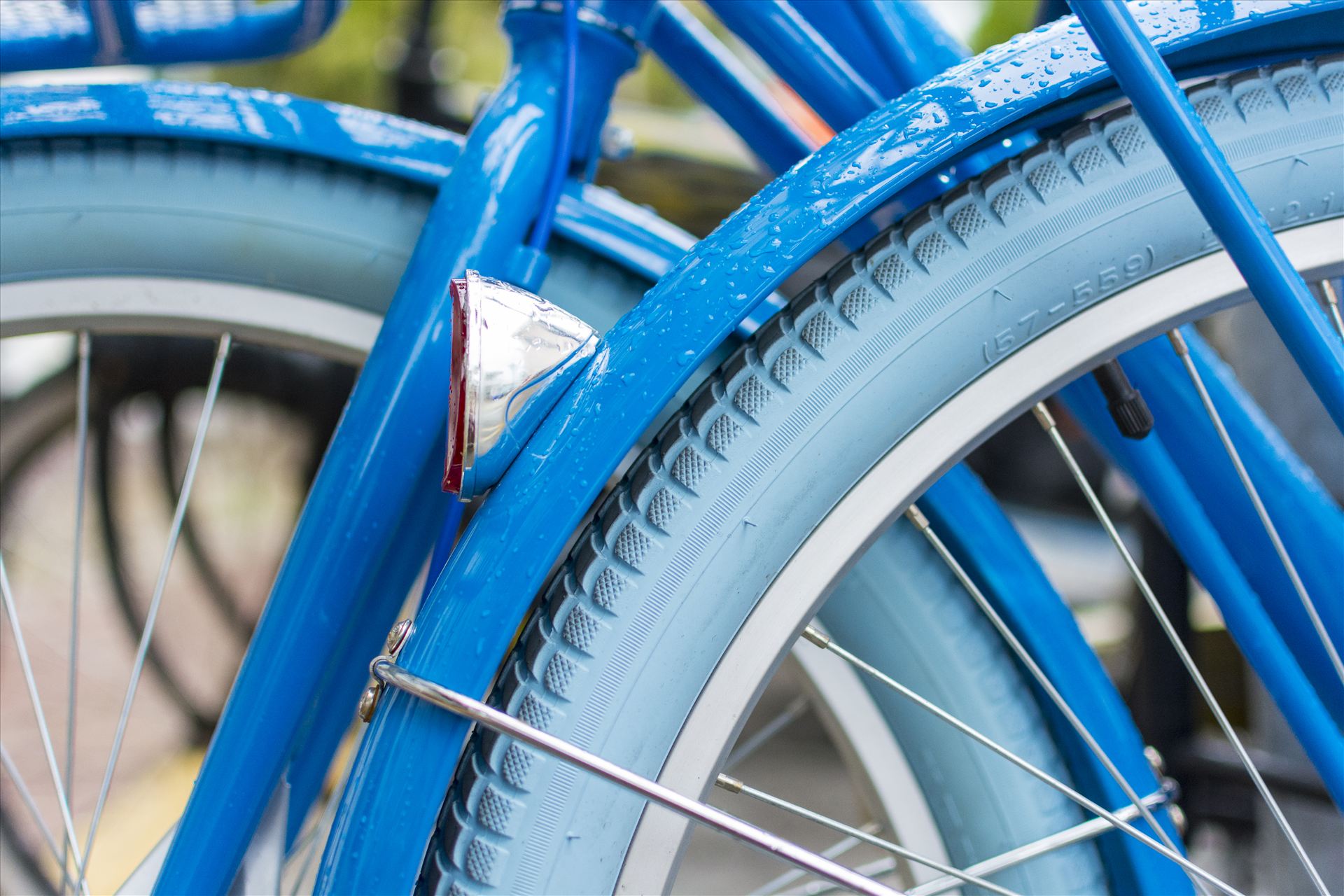Rainy Blue Bike.jpg - Rain slicked blue bicycle and a Key West morning by Sarah Williams