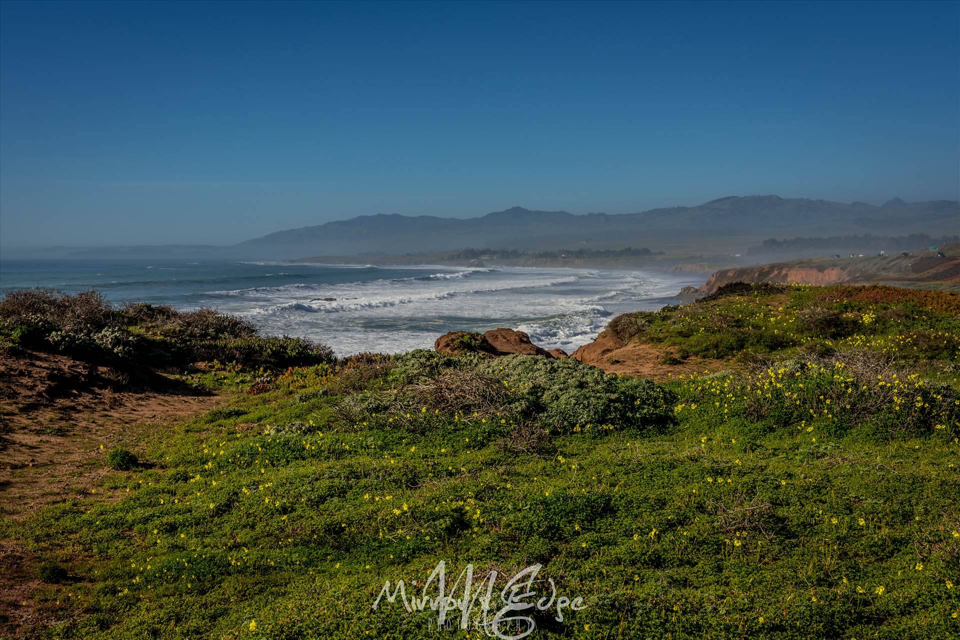Rugged Cambria Coast 02132016.jpg - undefined by Sarah Williams