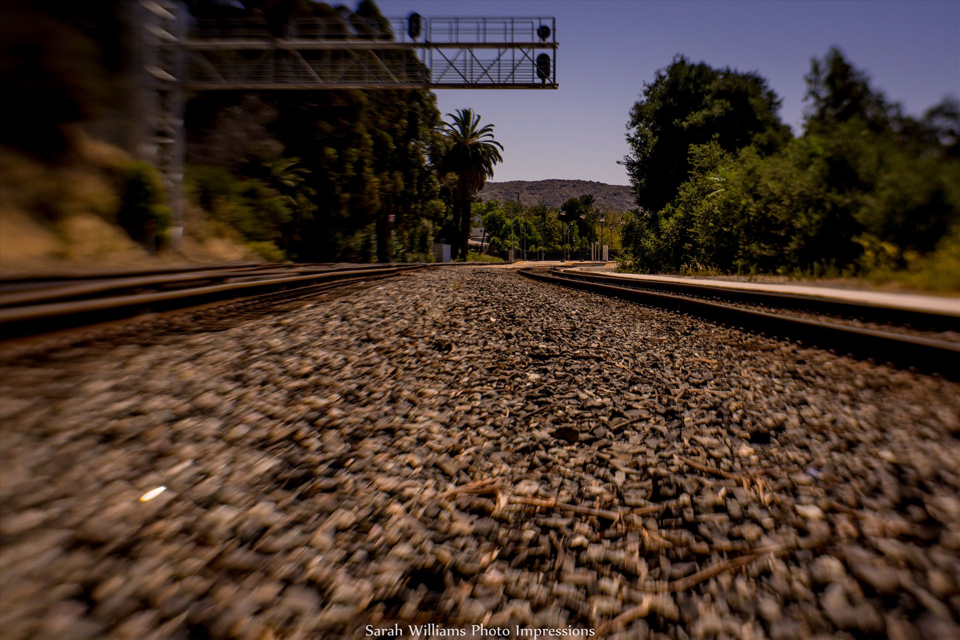 Between the Tracks.jpg -  by Sarah Williams