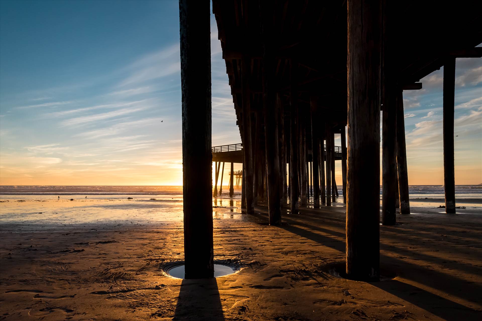 Under Pismo Pier at Sunset.jpg - undefined by Sarah Williams