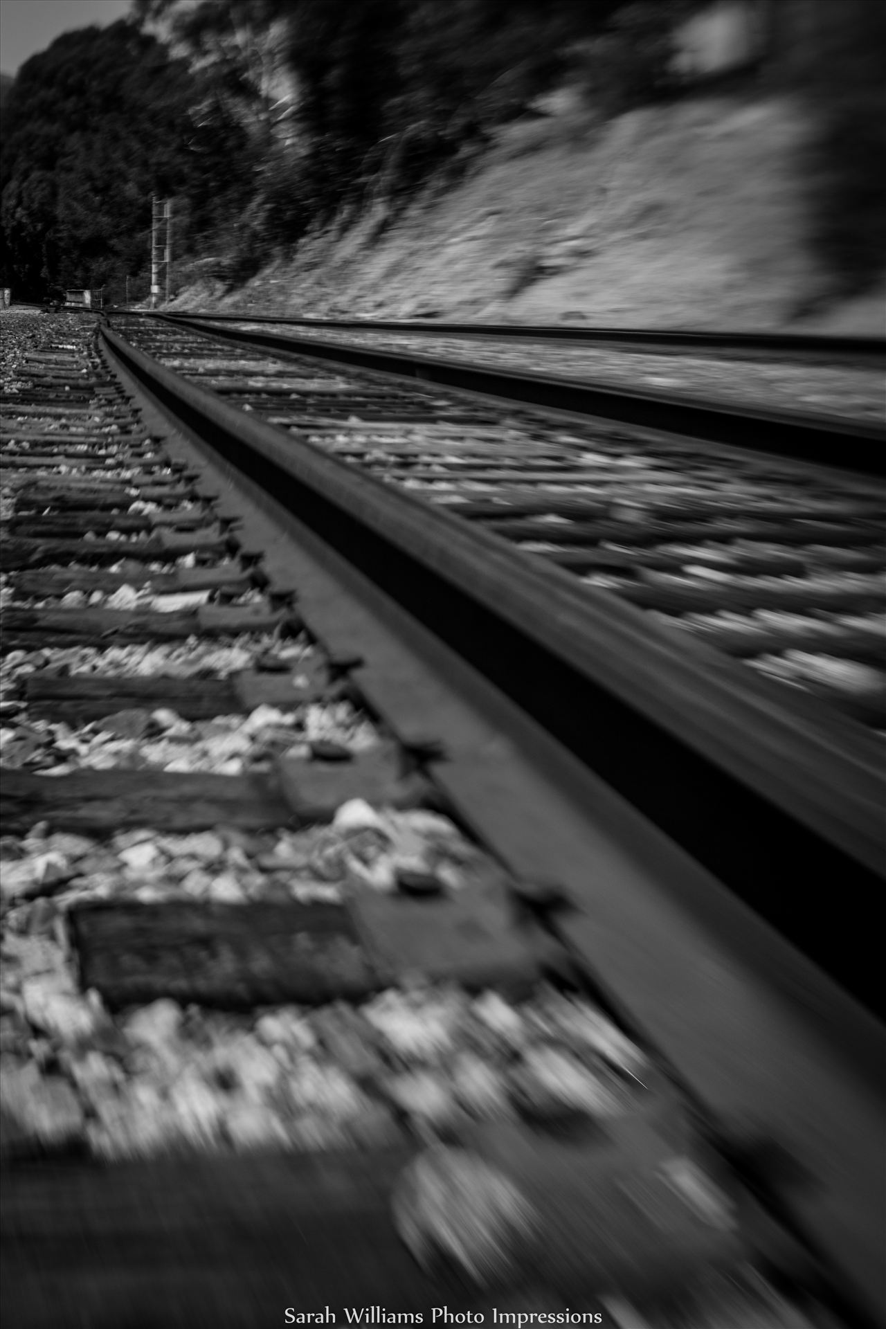 On the Tracks.jpg -  by Sarah Williams