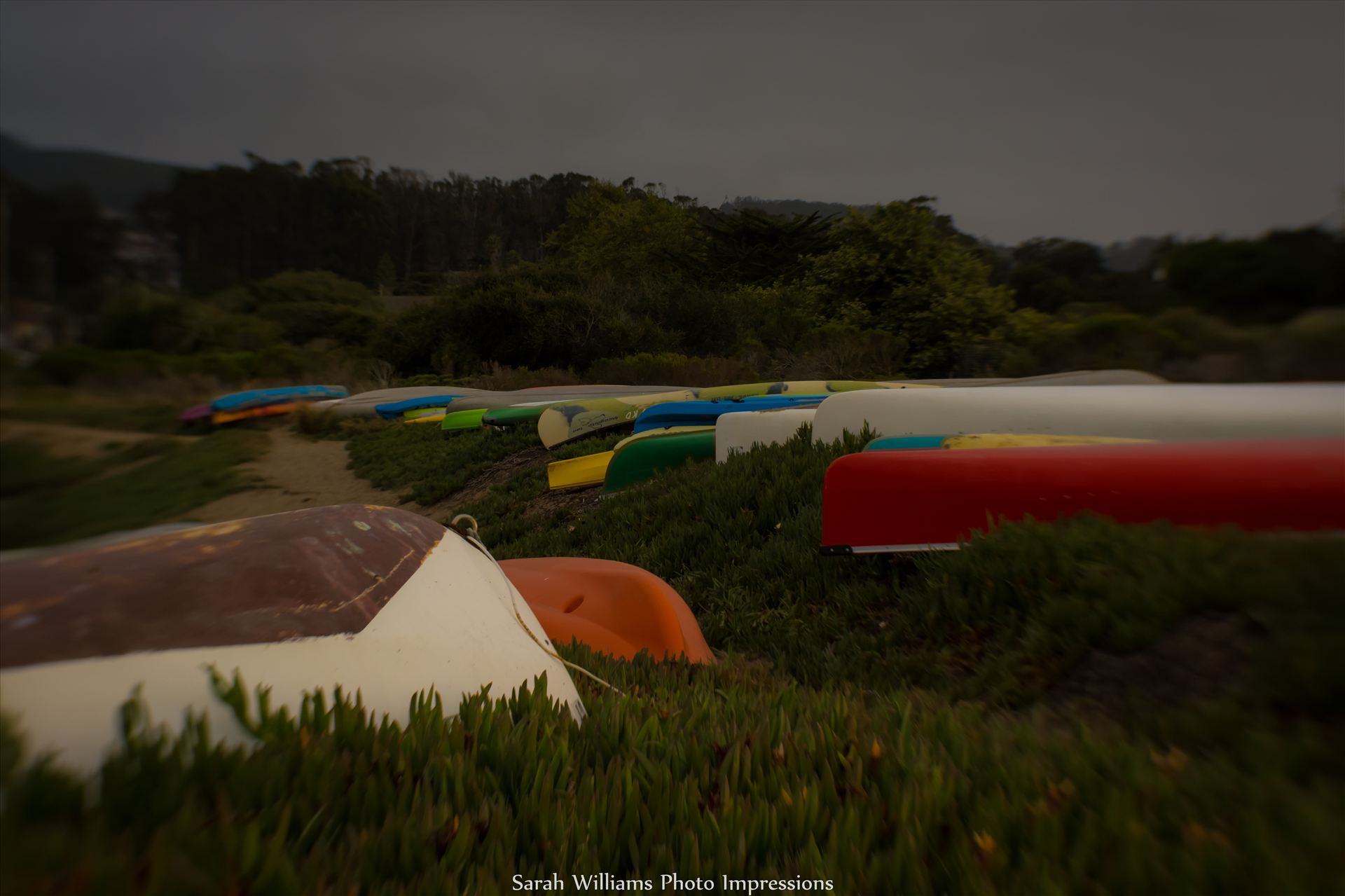 Colorful Kayaks.jpg -  by Sarah Williams