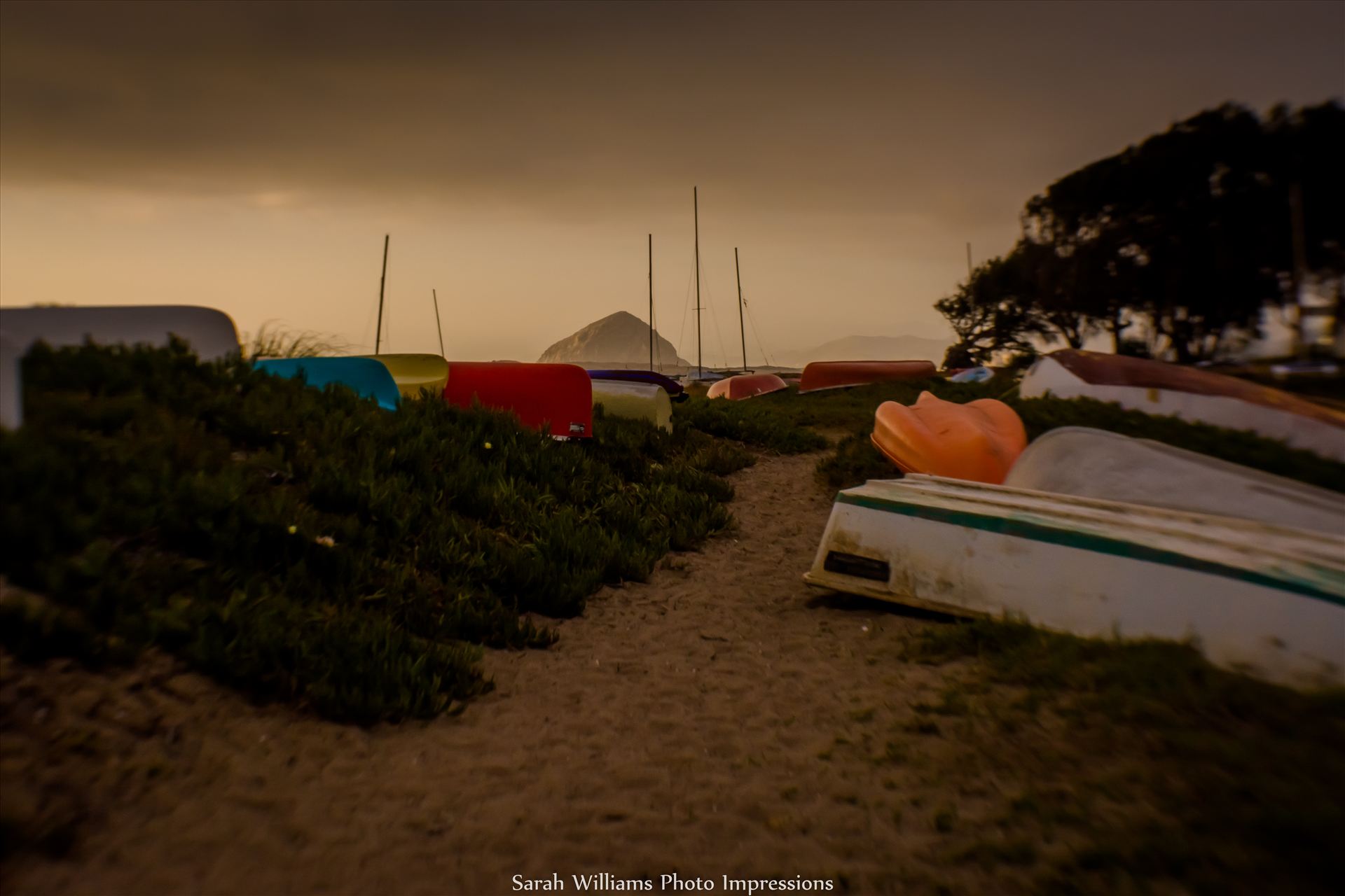 Morro Rock Kayak Trail.jpg -  by Sarah Williams