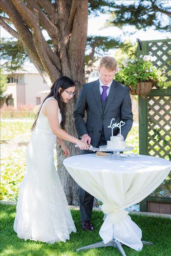Preview of Renae and Brian 082