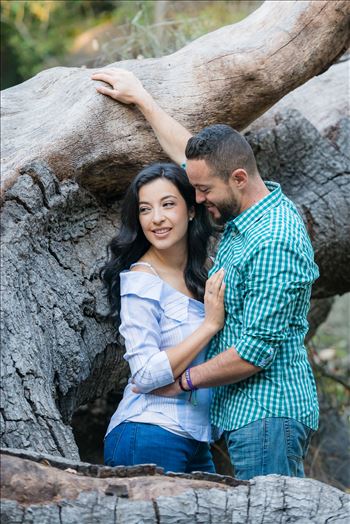 Preview of Cinthya and Carlos 41