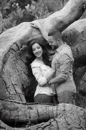 Preview of Cinthya and Carlos 39