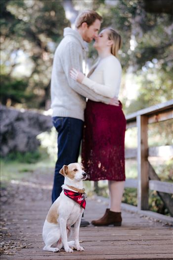 Mirror's Edge Photography captures CiCi and Rocky's Sunrise Engagement in Los Osos California at Los Osos Oaks Reserve. Fur baby engagement session