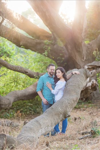 Preview of Cinthya and Carlos 57